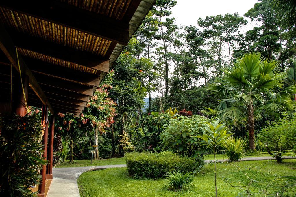 Catarata Eco Lodge La Fortuna Exteriör bild