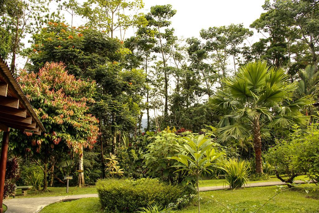 Catarata Eco Lodge La Fortuna Exteriör bild
