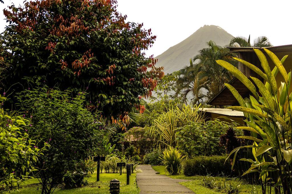 Catarata Eco Lodge La Fortuna Exteriör bild
