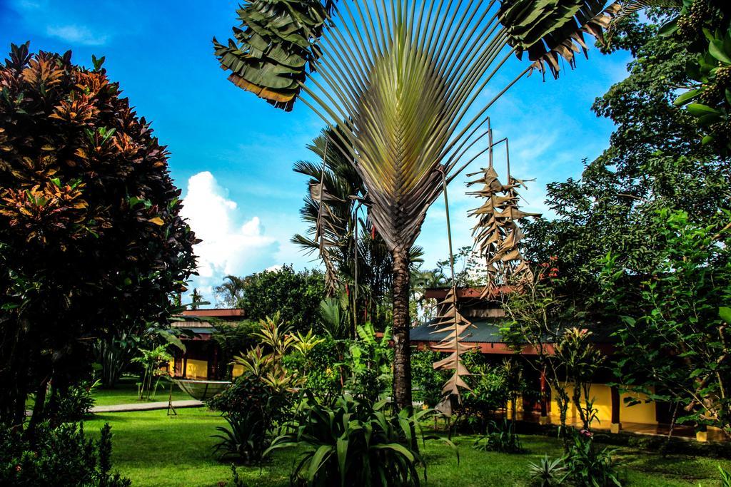 Catarata Eco Lodge La Fortuna Exteriör bild